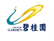 龙泉碧桂园地产
